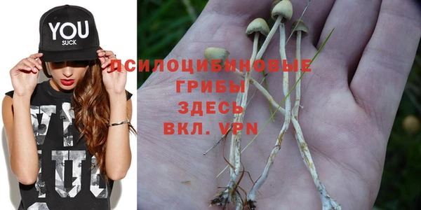 PSILOCYBIN Белоозёрский